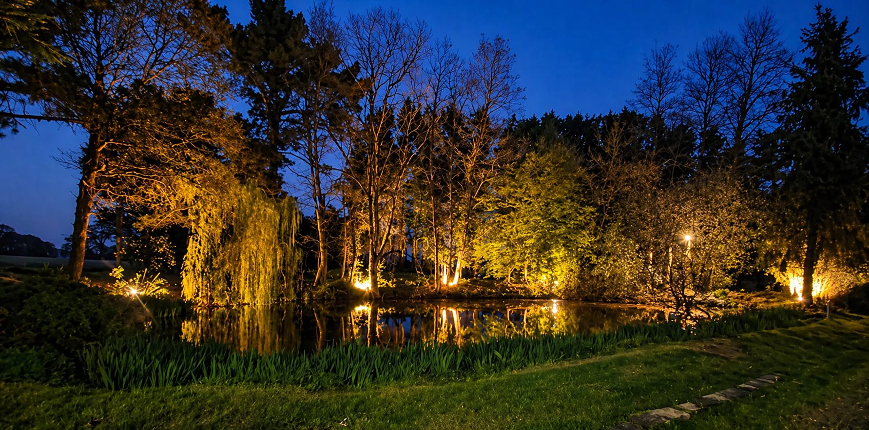 Parc du domaine illuminé la nuit